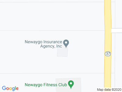 Newaygo Insurance Agency, Progressive Car Insurance