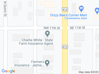 Charles White State Farm Car Insurance