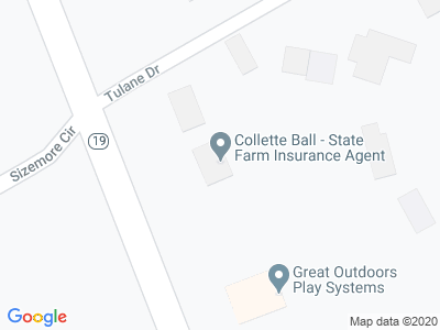 Collette Ball State Farm Car Insurance